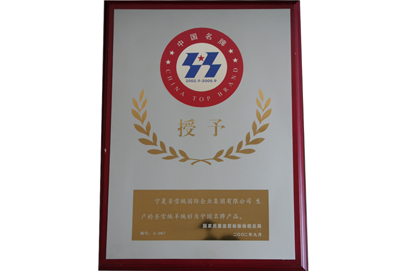 2002-2004年中國(guó)名牌產(chǎn)品
