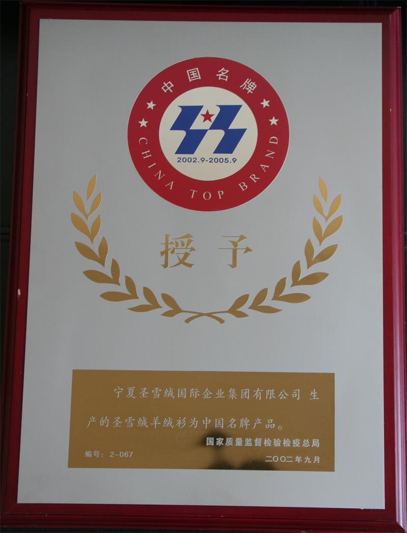 3.2002-2004年中國(guó)名牌產(chǎn)品_看圖王.jpg